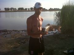 fish